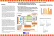 Thumbnail image of the Impact of Voluntary Community Health Workers on Reproductive, Maternal & Child Health in Ethiopia poster.
